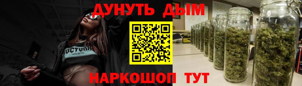 Бошки Шишки конопля  Вход с VPN  МАРИХУАНА планчик  Шишки марихуана Ganja  Новозыбков  Марихуана VHQ 